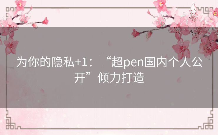 为你的隐私+1：“超pen国内个人公开”倾力打造