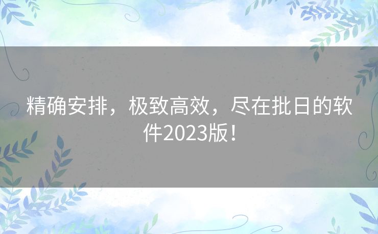 精确安排，极致高效，尽在批日的软件2023版！