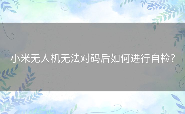 小米无人机无法对码后如何进行自检？