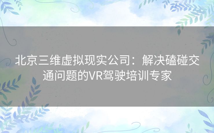 北京三维虚拟现实公司：解决磕碰交通问题的VR驾驶培训专家