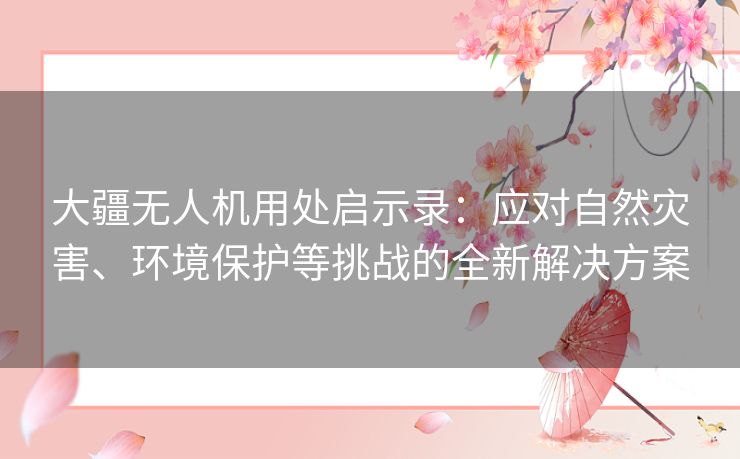 大疆无人机用处启示录：应对自然灾害、环境保护等挑战的全新解决方案