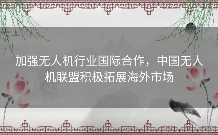 加强无人机行业国际合作，中国无人机联盟积极拓展海外市场