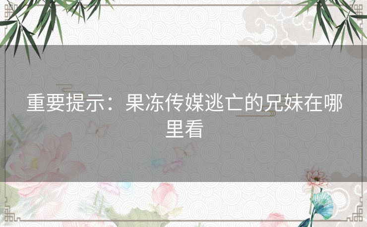 重要提示：果冻传媒逃亡的兄妹在哪里看