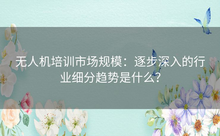 无人机培训市场规模：逐步深入的行业细分趋势是什么？