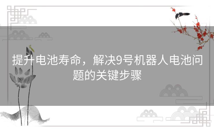 提升电池寿命，解决9号机器人电池问题的关键步骤