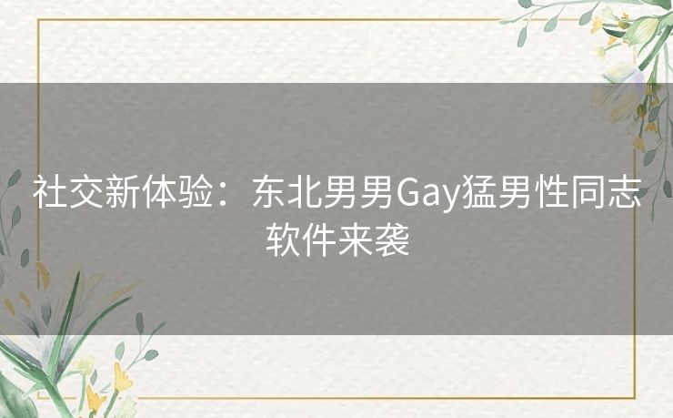 社交新体验：东北男男Gay猛男性同志软件来袭