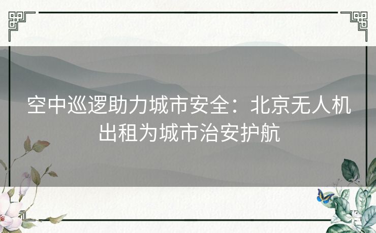 空中巡逻助力城市安全：北京无人机出租为城市治安护航