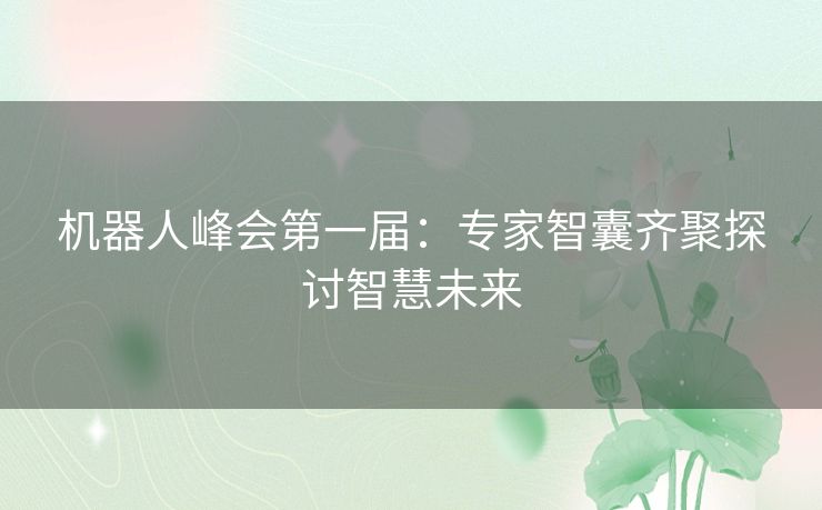 机器人峰会第一届：专家智囊齐聚探讨智慧未来