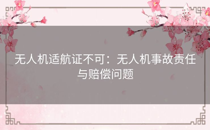 无人机适航证不可：无人机事故责任与赔偿问题