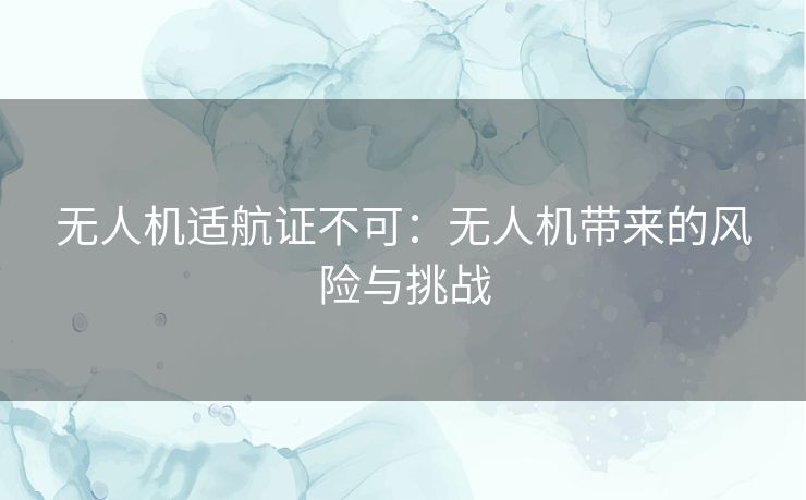 无人机适航证不可：无人机带来的风险与挑战