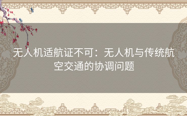 无人机适航证不可：无人机与传统航空交通的协调问题