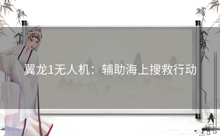 翼龙1无人机：辅助海上搜救行动