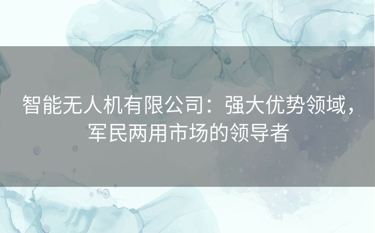 智能无人机有限公司：强大优势领域，军民两用市场的领导者