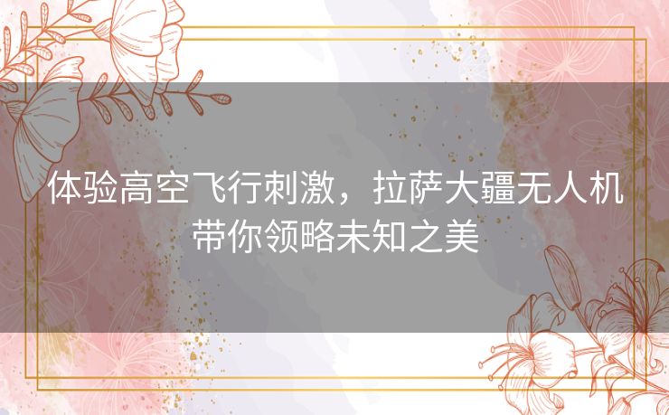 体验高空飞行刺激，拉萨大疆无人机带你领略未知之美