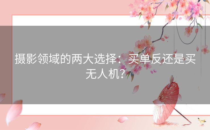 摄影领域的两大选择：买单反还是买无人机？