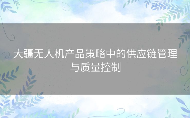 大疆无人机产品策略中的供应链管理与质量控制