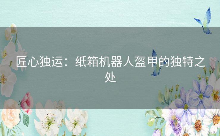 匠心独运：纸箱机器人盔甲的独特之处