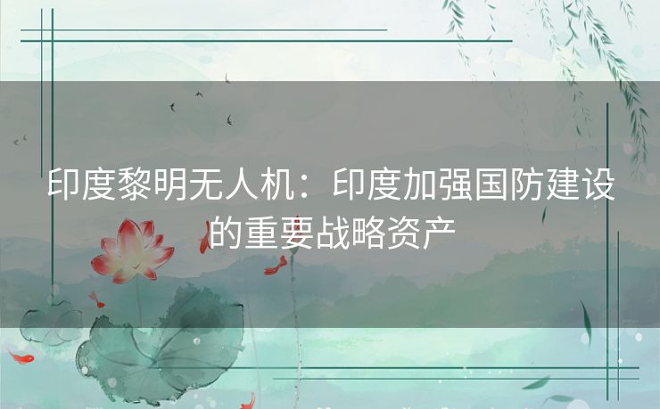 印度黎明无人机:印度加强国防建设的重要战略资产 印度黎明无人机:印度加强国防建设的重要战略资产