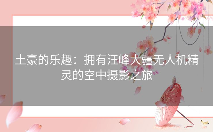 土豪的乐趣:拥有汪峰大疆无人机精灵的空中摄影之旅 土豪的乐趣:拥有汪峰大疆无人机精灵的空中摄影之旅