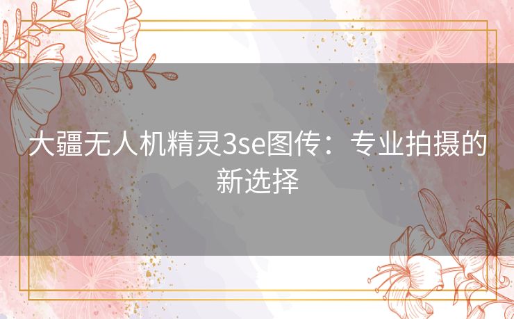 大疆无人机精灵3se图传：专业拍摄的新选择