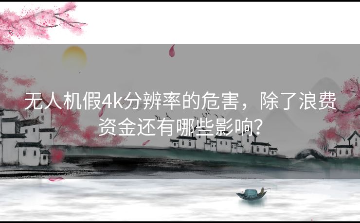 无人机假4k分辨率的危害，除了浪费资金还有哪些影响？