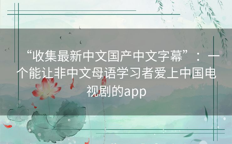 “收集最新中文国产中文字幕”:一个能让非中文母语学习者爱上中国电视剧的app “收集最新中文国产中文字幕”:一个能让非中文母语学习者爱上中国电视剧的app