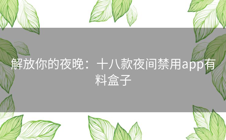 解放你的夜晚：十八款夜间禁用app有料盒子