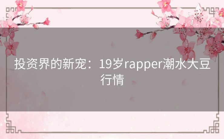 投资界的新宠：19岁rapper潮水大豆行情